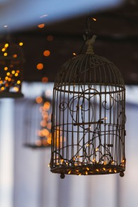 A cage for pet birds with lights - Honor Your Pet