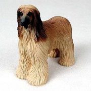 Afghan Hound