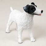 Jack Russel Terrier