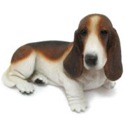 Basset_Hound