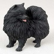 Pomeranian_BLACK