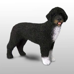 Presidential Portuguese Water Dog