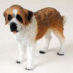 Saint Bernard Rough