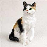 Shorthaired Calico