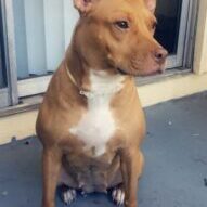 dafa6e97-c29b-459c-9530-e9c6ec6c6ba7